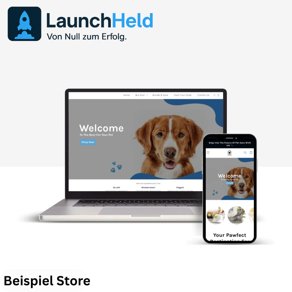 All-In-one Starter Dropshipping Brand